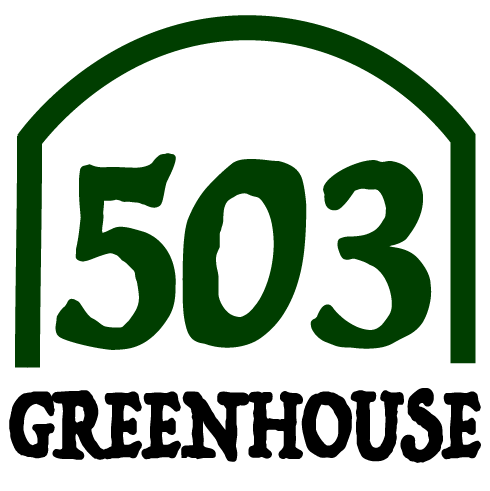 Logo 3